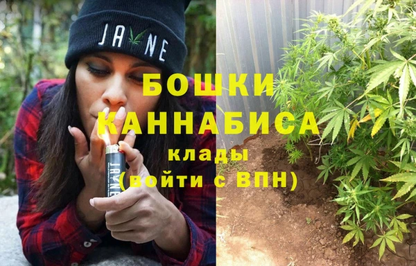 спайс Алзамай
