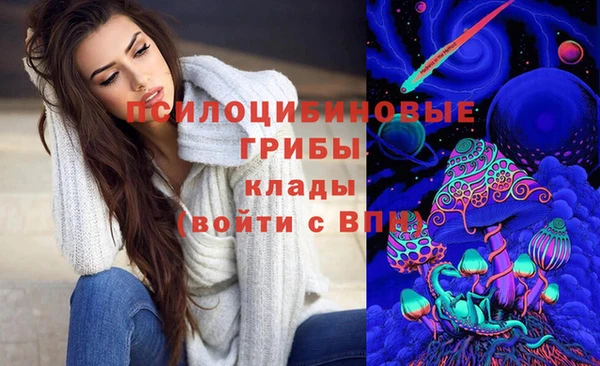 спайс Алзамай
